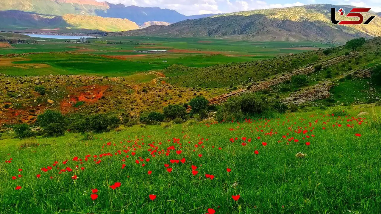 تاریخچه طبیعت گرایی + فیلم