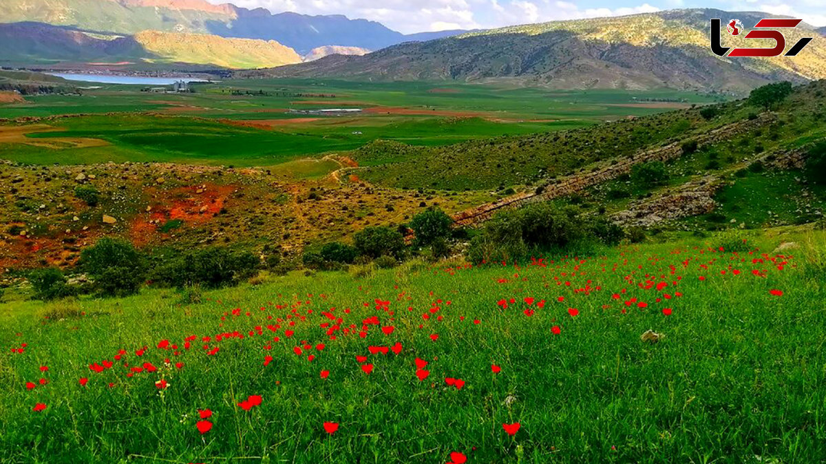 تاریخچه طبیعت گرایی + فیلم