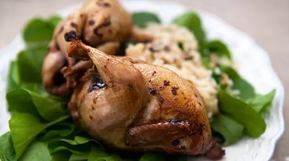 تقویت استخوان ها با گوشت بلدرچین