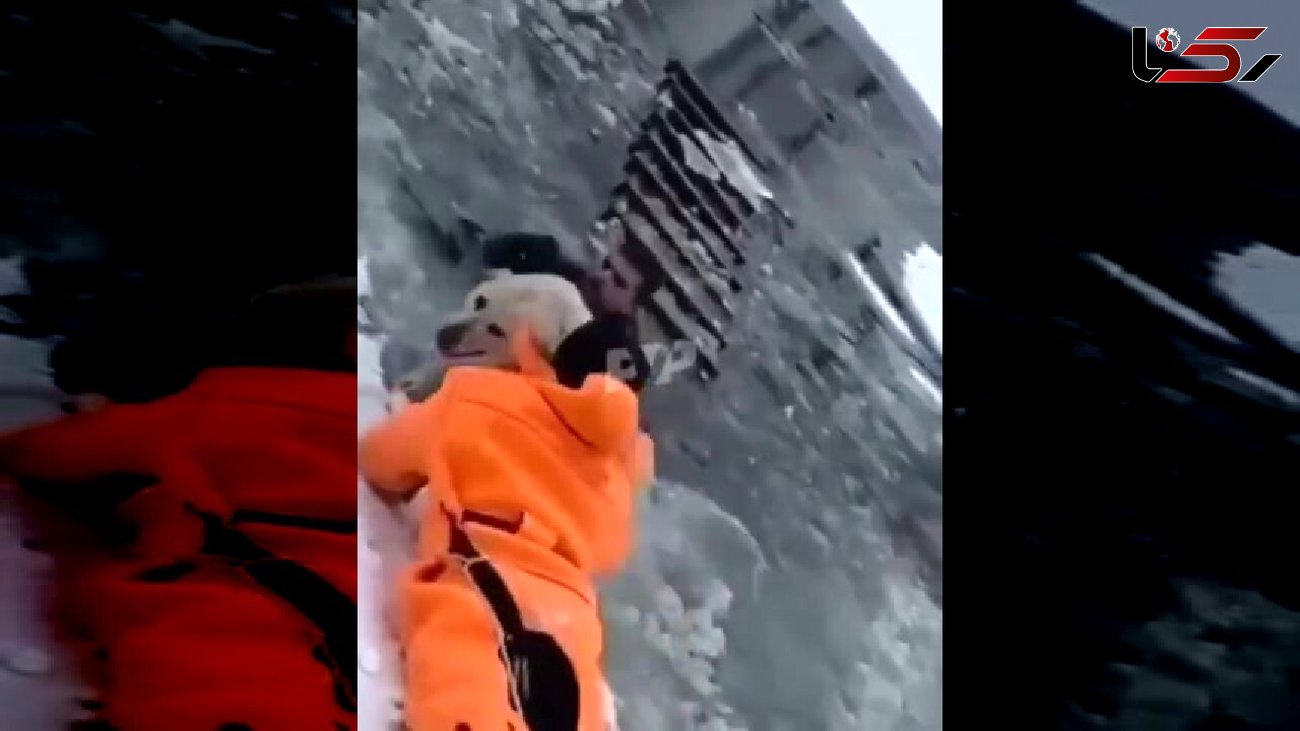 نجات یک سگ از وسط دریاچه یخ زده + فیلم
