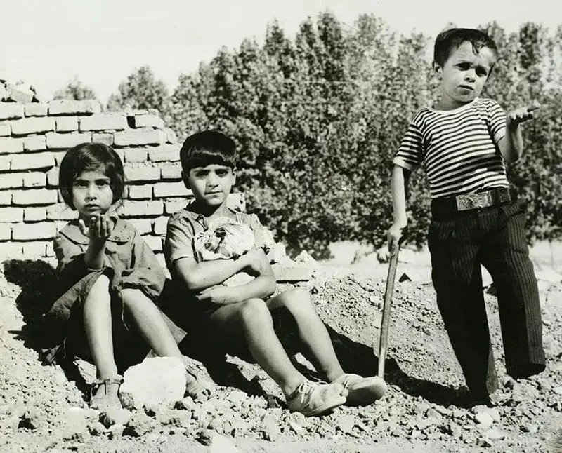 filmfarsiofficial_1565627002_2108954612676686774_3230002639