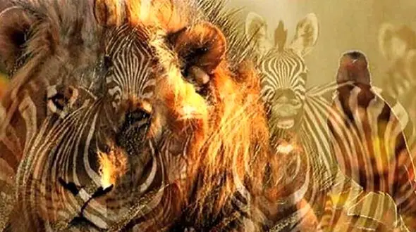 تست : در نگاه اول چه حیوانی را دیدید؟