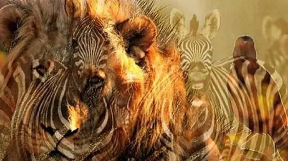 تست : در نگاه اول چه حیوانی را دیدید؟