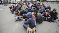 جمع آوری 127 معتاد متجاهر توسط پلیس "شهریار" در طرح آرامش در شهر