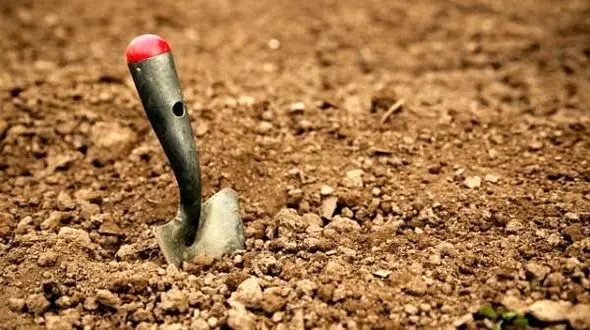 میلیونر شدن فقط با فروش بیل!