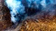 اعزام فوری نیروهای امدادی برای مهار آتش‌ سوزی گسترده در دیزمار
