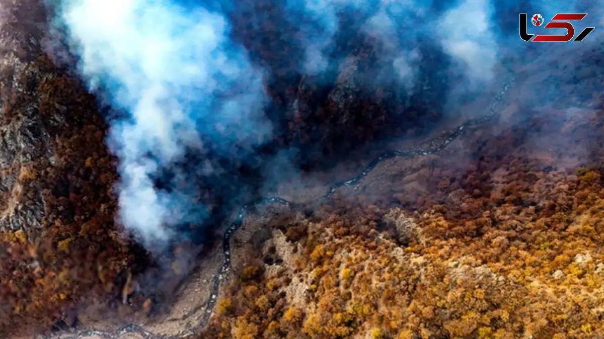 اعزام فوری نیروهای امدادی برای مهار آتش‌ سوزی گسترده در دیزمار