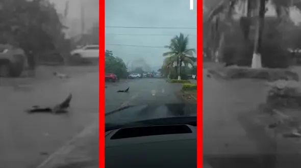 فیلم انفجار مرگبار خودروی بمب گذاری شده در مکزیک