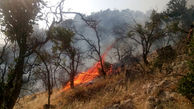 آتش‌سوزی منابع‌طبیعی روستای«چم‌گرداب» پلدختر مهار شد