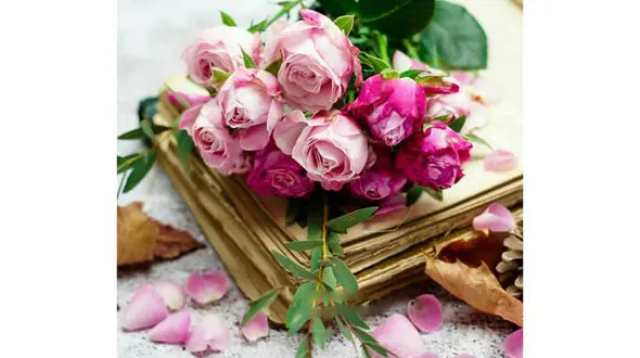 فال ابجد امروز / 31 فروردین + فیلم