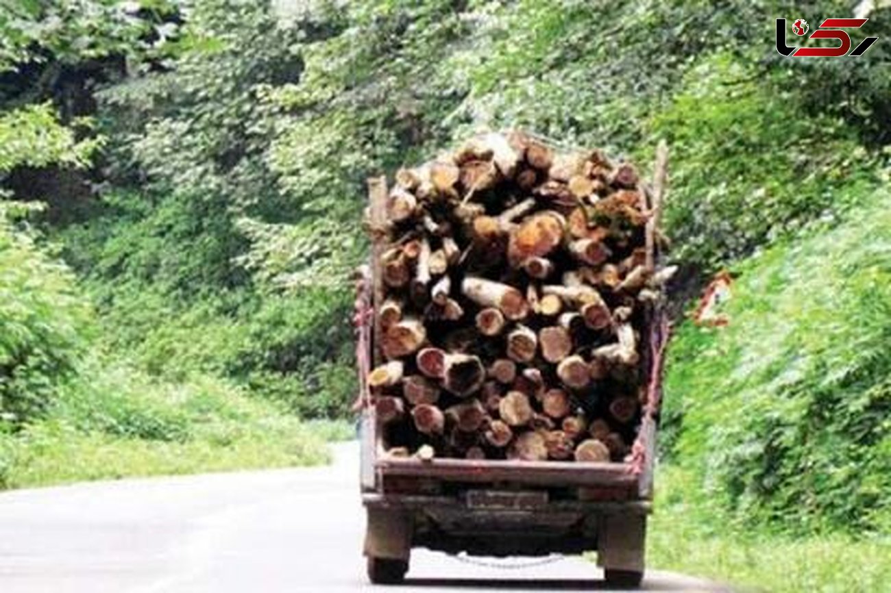 23 تن چوب قاچاق در قروه کشف و ضبط شده است