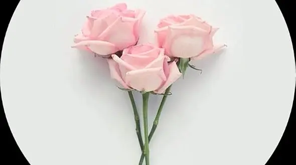 فال ابجد امروز / 6 بهمن + فیلم