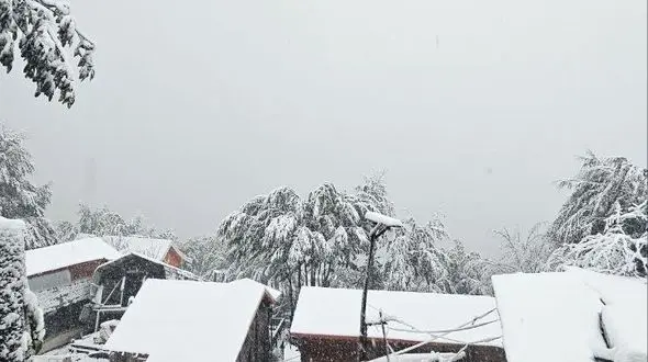 بارش شدید برف خیابان های تبریز را سفید پوش کرد