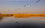 ببینید / نماهنگ بی کلام آرامش بخش + فیلم 