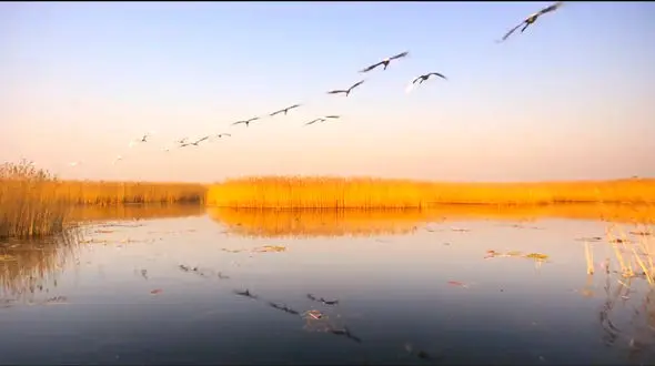 ببینید / نماهنگ بی کلام آرامش بخش + فیلم 