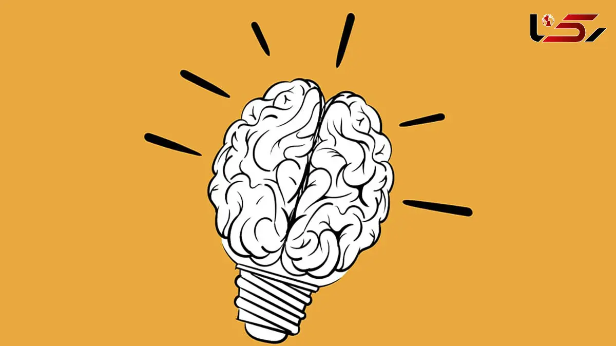بهترین روش های علمی برای آرامش ذهن و تقویت حافظه