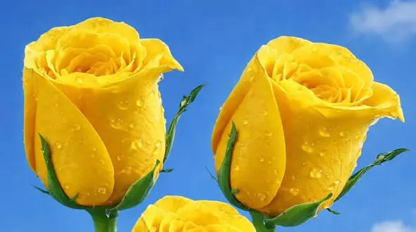 فال و طالع بینی روزانه 3 اردیبهشت 1405
