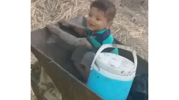 حفاظت سگ ها از پسربچه گمشده در تاریکی شب جنگل گالیکش + فیلم گفتگو با پدر سردار کوچولو