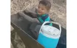 حفاظت سگ ها از پسربچه گمشده در تاریکی شب جنگل گالیکش + فیلم گفتگو با پدر سردار کوچولو