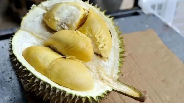 بوی بد مسافران هواپیما را به جان هم انداخت ! / راز عجیب