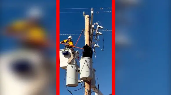 فیلم اقدام شجاعانه تکنسین برای نجات خرس