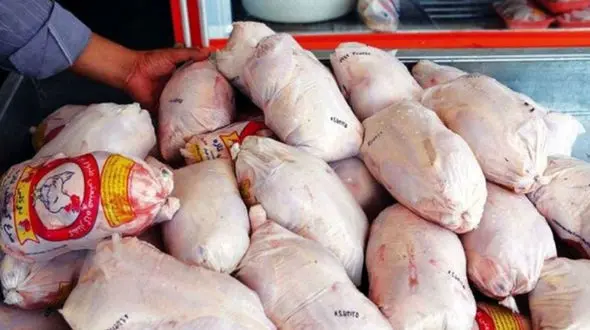 آموزش گرفتن بوی زهم مرغ + فیلم