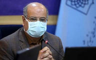 زالی: تعداد مبتلایان قارچ سیاه در تهران به 56 نفر رسید