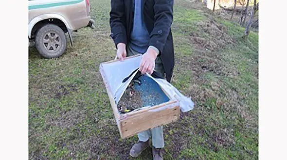 دستگیری متخلف زنده گیری سهره طلایی در شهرستان گرمی