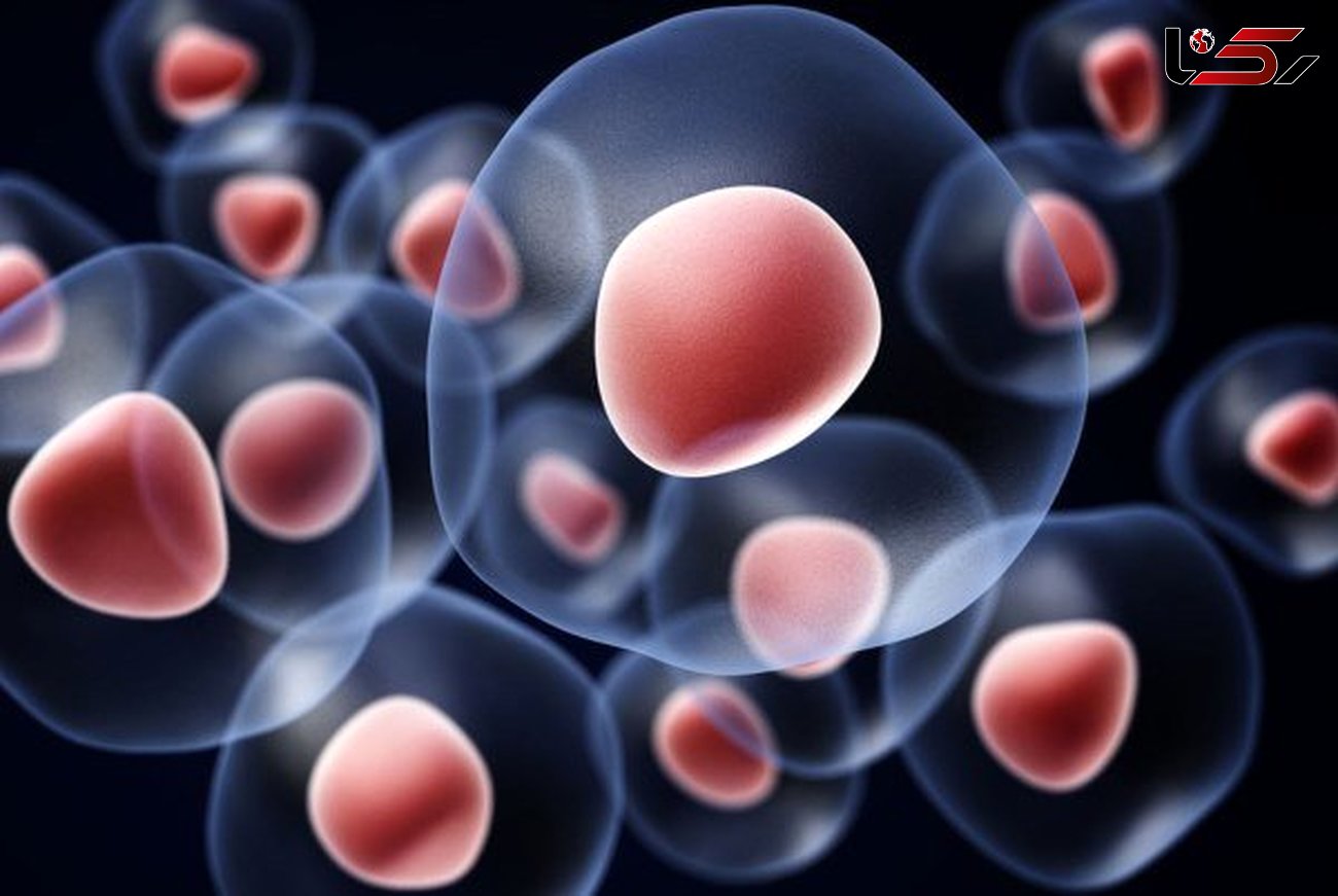 درمان بیماری های قرنیه با سلول های بنیادی