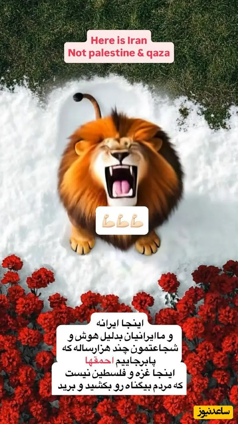  استوری لیلا اوتادی