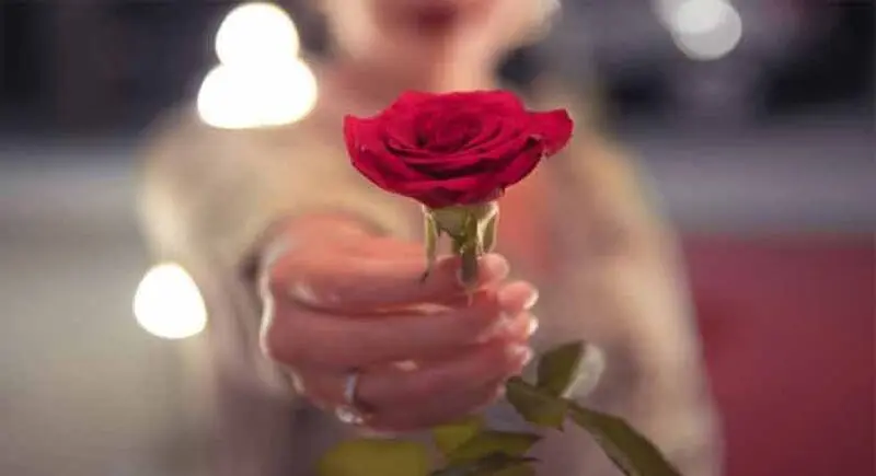 هدیه گل از دور