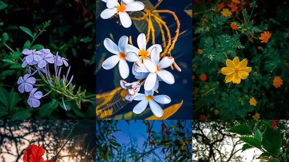 فال ابجد امروز اول اردیبهشت 1405