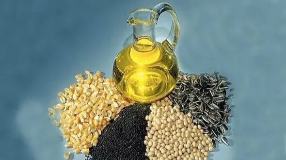 چگونه دانه‌ های روغنی سلامت قلب و متابولیسم را تضمین می‌ کند؟