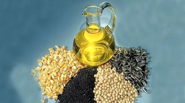 چگونه دانه‌ های روغنی سلامت قلب و متابولیسم را تضمین می‌ کند؟