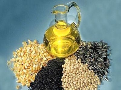 چگونه دانه‌ های روغنی سلامت قلب و متابولیسم را تضمین می‌ کند؟