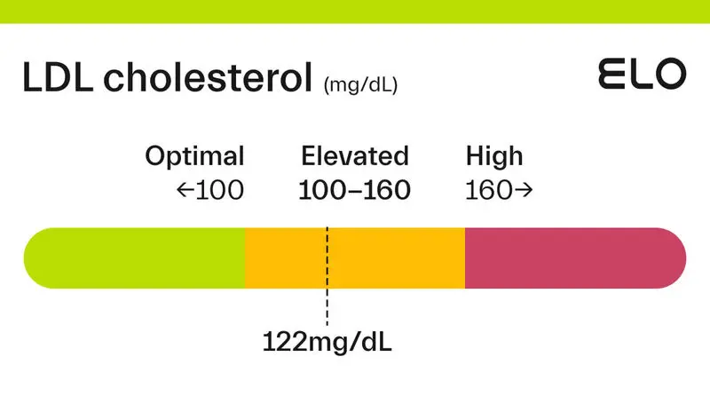 ldl cholesterol
