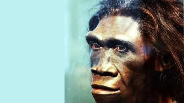 راز انقراض انسان های اولیه کشف شد