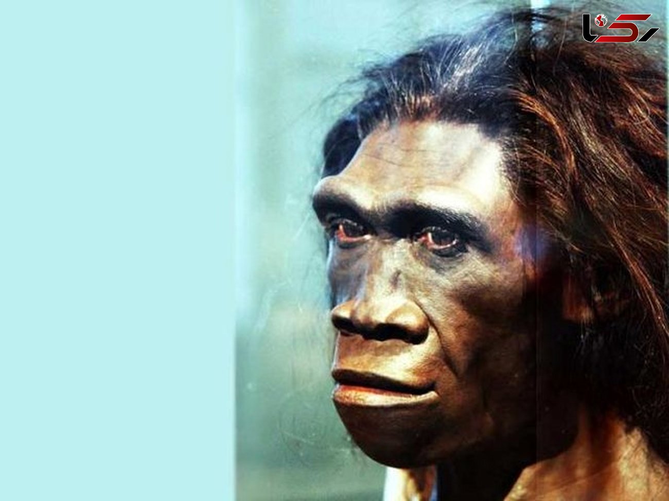 راز انقراض انسان های اولیه کشف شد