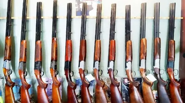 3 میلیون سلاح شکاری مجوزدار در دست مردم قرار دارد / توزیع سالانه 300 میلیون فشنگ شکاری در ایران 
