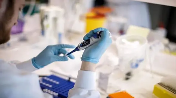 منشاء  کرونا انگلیسی  کجاست؟