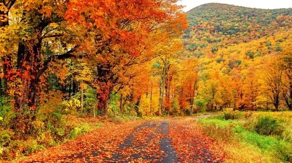 ارتباط پاییز و هنر + فیلم