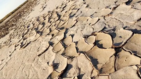 همه تالاب‌ها در فلات مرکزی ایران دچار مرگ آبی شده‌اند