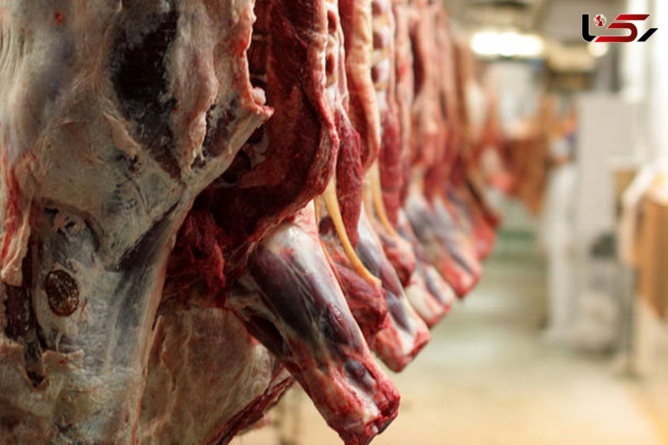 کشف 1500 کیلو گوشت کثیف در مشهد 