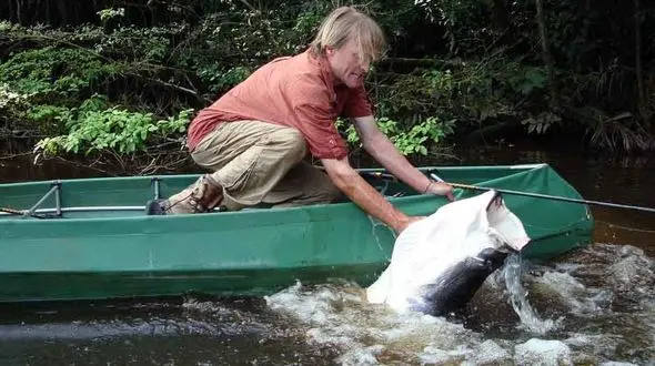 ماهی عظیم و جثه و مبارزی که برای طعمه نشدن خیلی تلاش کرد +گزارش تصویری