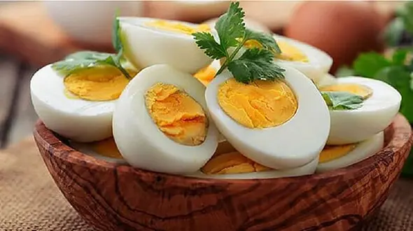 دلایل خوردن تخم مرغ + اینفوگرافی