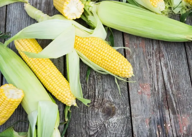 corn
