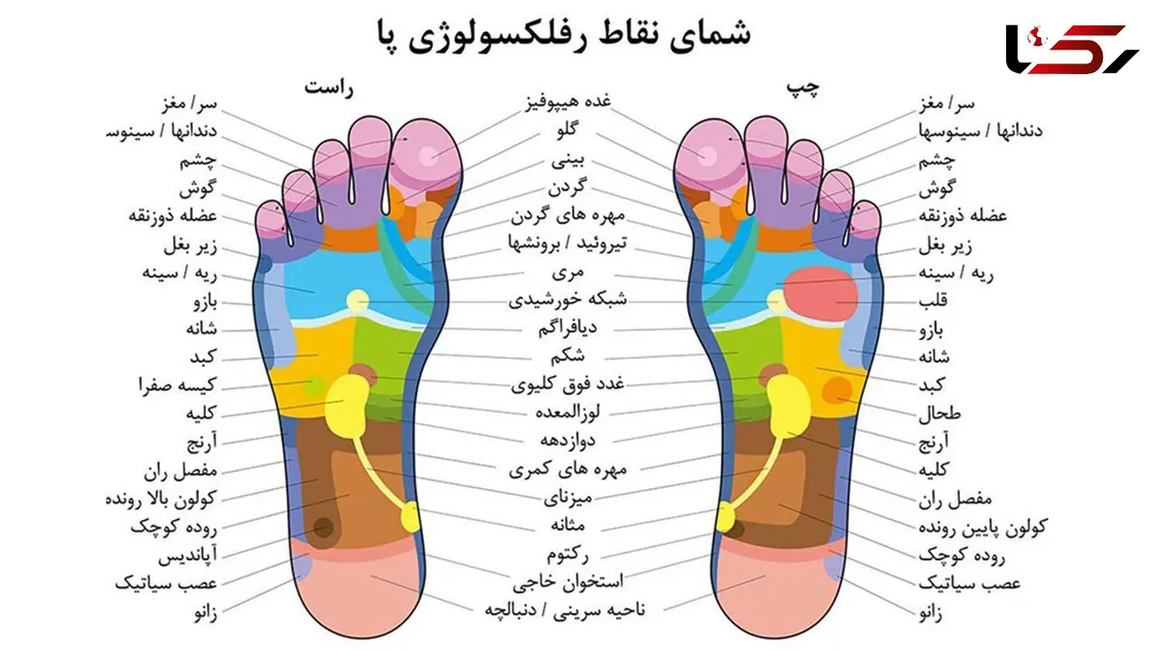 بازتاب‌درمانی چیست/ ۱۲ فایده بازتاب درمانی برای سلامتی