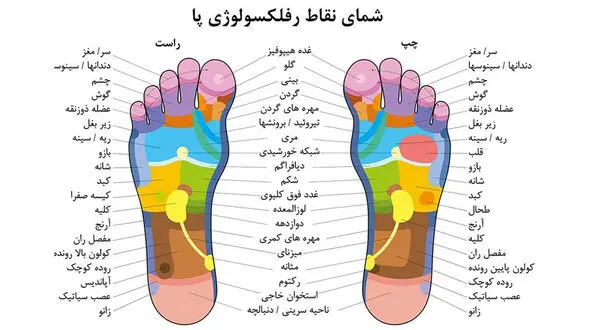 بازتاب‌درمانی چیست/ ۱۲ فایده بازتاب درمانی برای سلامتی