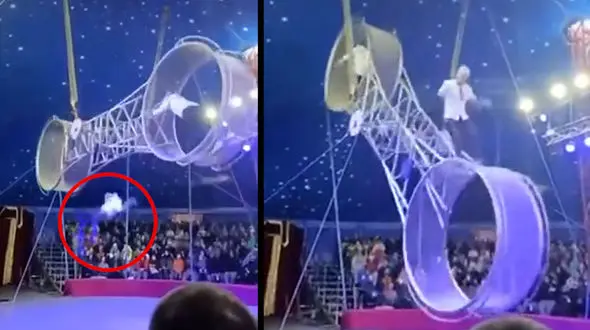 فیلم حادثه وحشتناک یک آکروبات باز هنگام نمایش