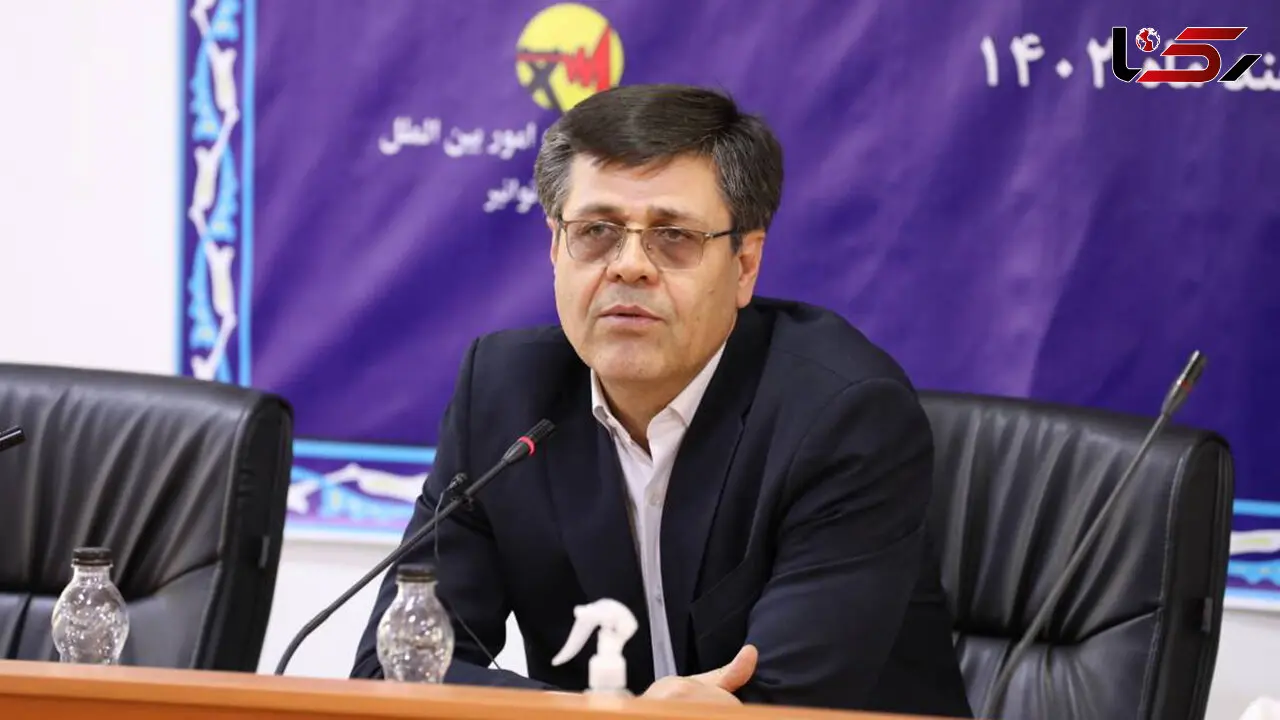 سرپرست شرکت توانیر منصوب شد